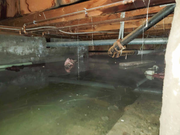 Best Sewage cleanup and water damage restoration  in Northridge, OH
