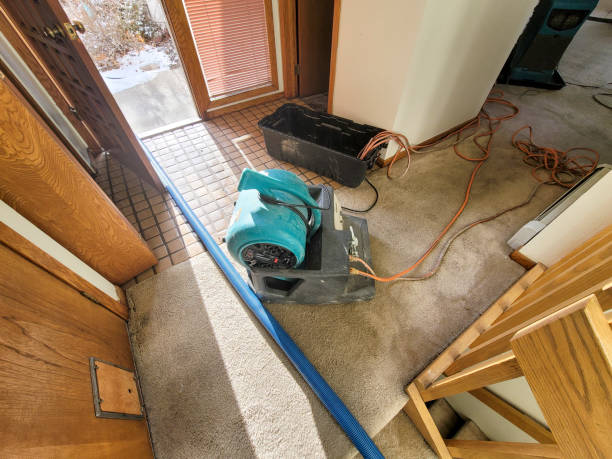 Best 24/7 water damage repair  in Northridge, OH