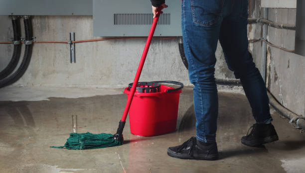Best Water damage contractors near me  in Northridge, OH