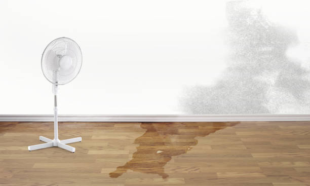 Best Flood damage cleanup  in Northridge, OH