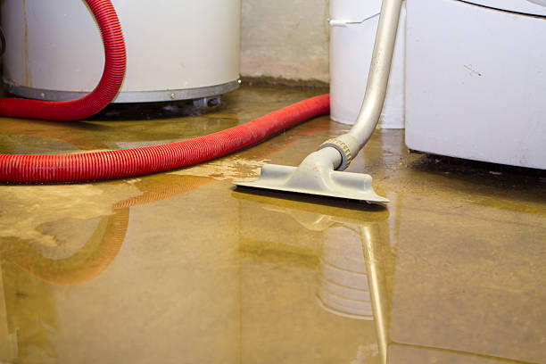 Best Commercial water damage restoration  in Northridge, OH