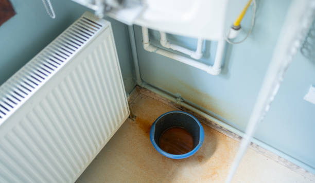 Best Sewage cleanup and water damage restoration  in Northridge, OH