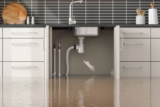 Best Water damage restoration company  in Northridge, OH