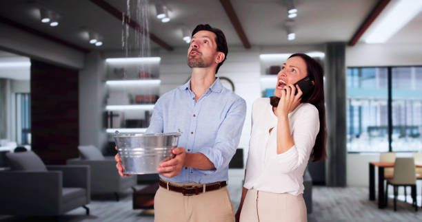Best Local water damage restoration  in Northridge, OH