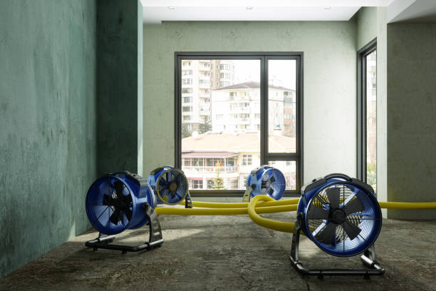 Best Water damage restoration near me  in Northridge, OH