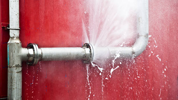 Best Carpet water damage restoration  in Northridge, OH